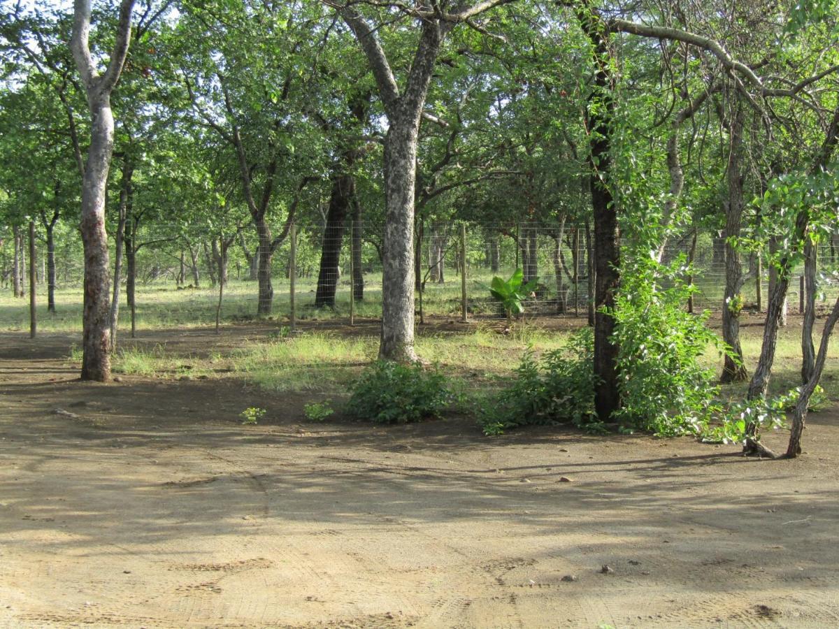 Pafuri Gate Guesthouse Mabalingwe Game Reserve Exterior photo